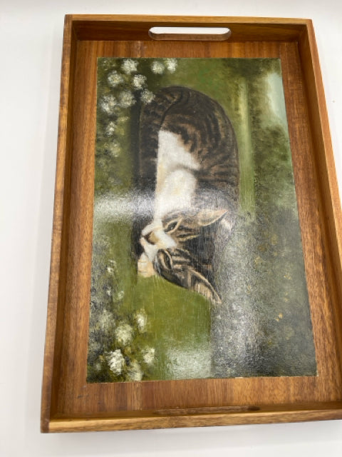 Handpainted Wood Tray With Picture Of A Cat