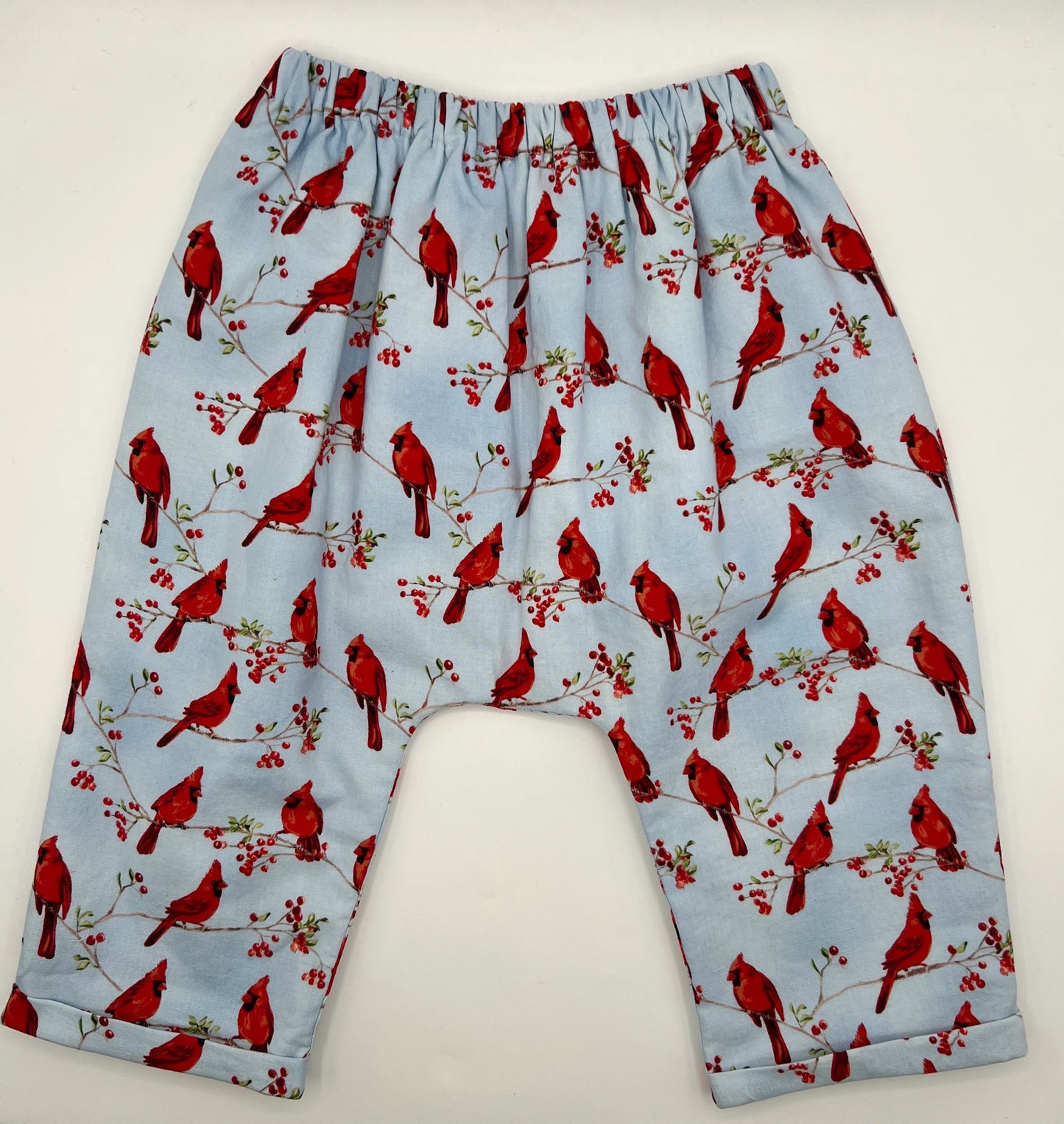 3 Y Pants Lined Blue Background w/Cardinal Motif