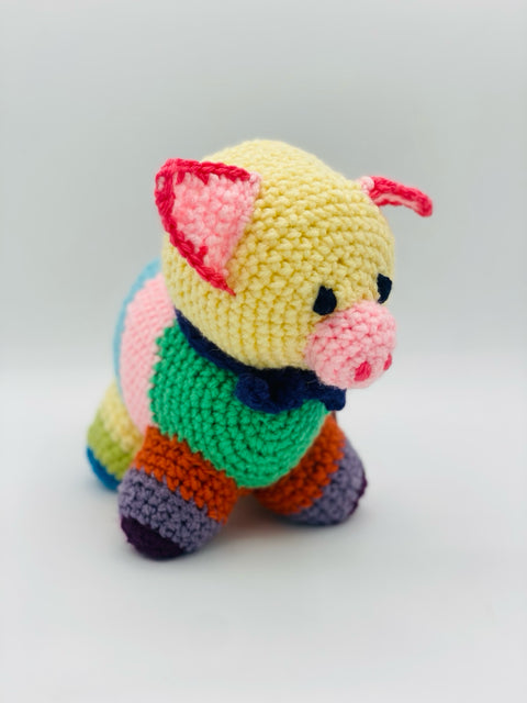 Colorful Piggy