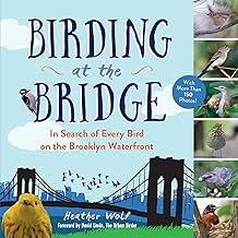 Birding at the Bridge