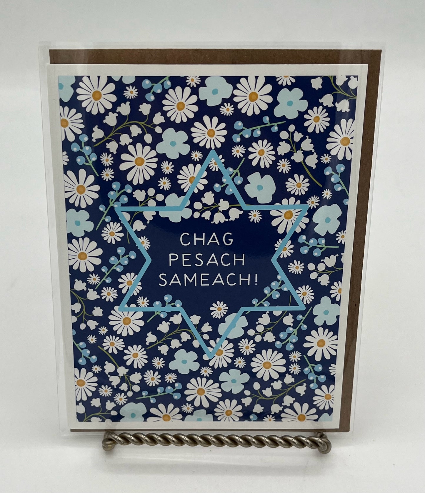 Chag Pesach Sameach Passover Card