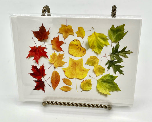 Autumn Leaf Ombre Note Card