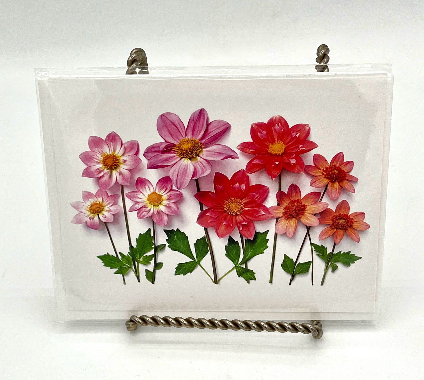 Dahlias Note Card