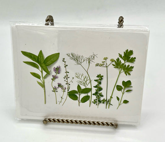 Garden Herb Note Card