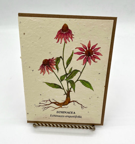 Echinacea Plantable Wildfower Seed Card