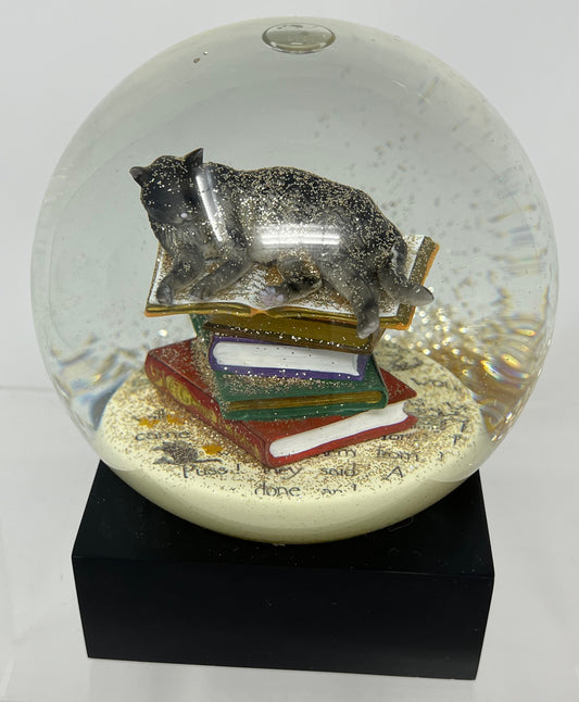 Cat On Books Snow Globe