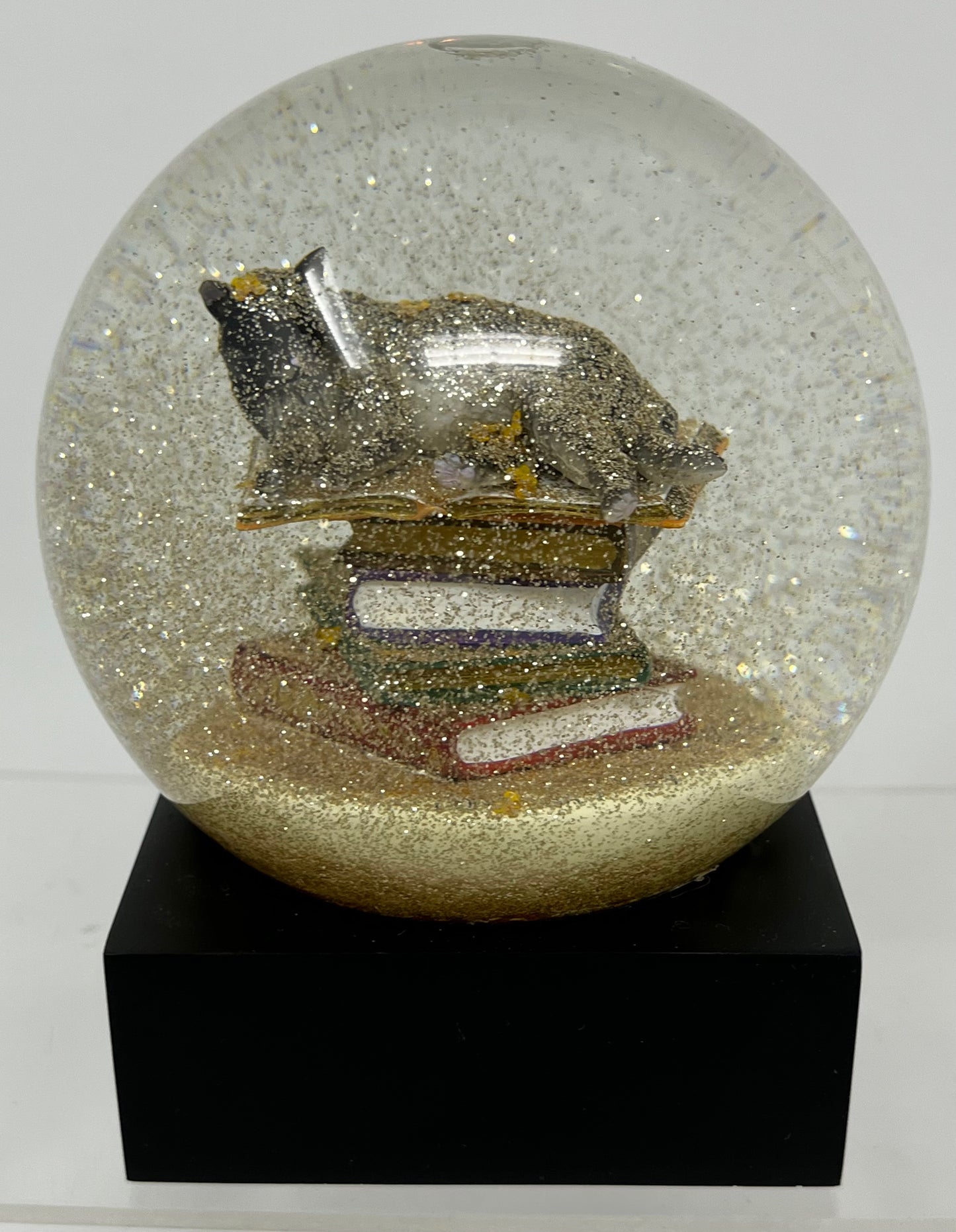 Cat On Books Snow Globe