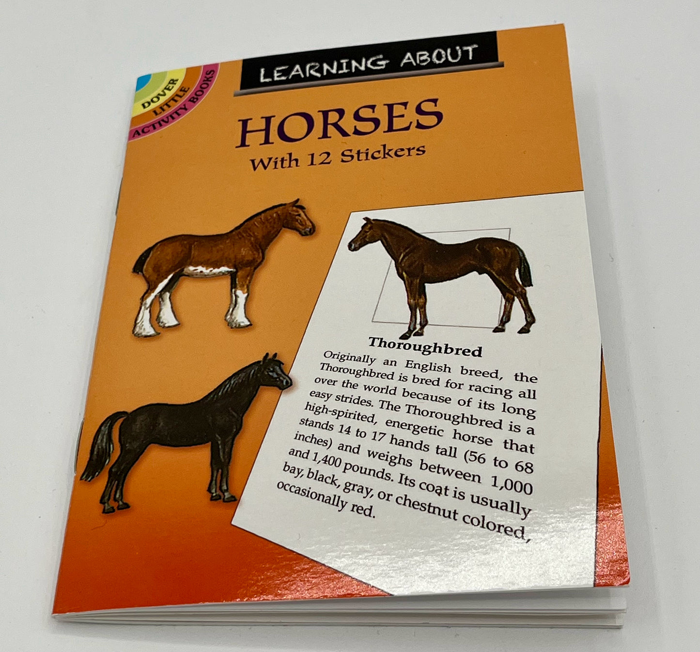 Horses Activity Book