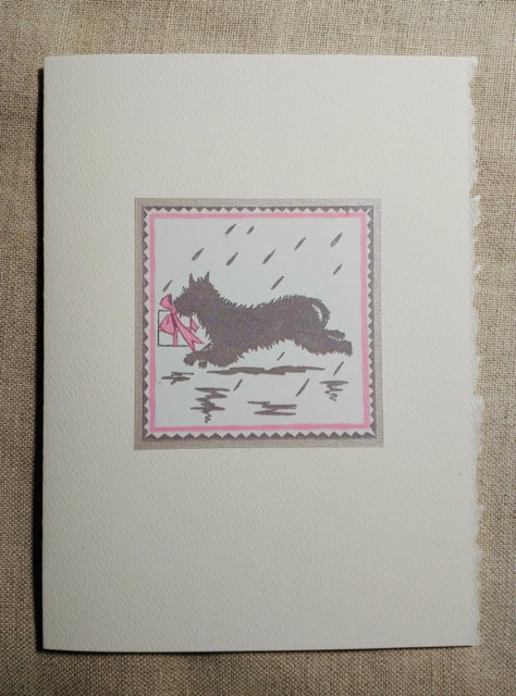 Scottie Shower Card