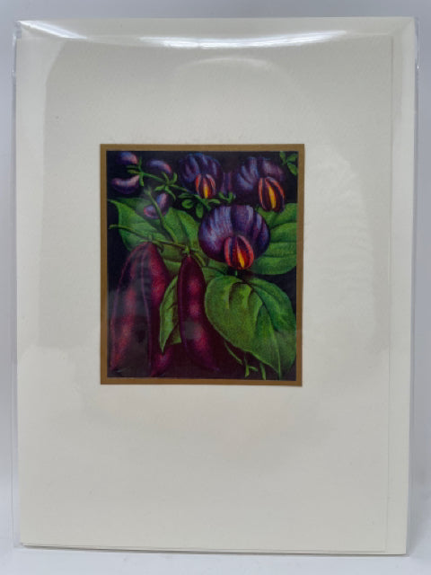 Hyacinth Bean Card