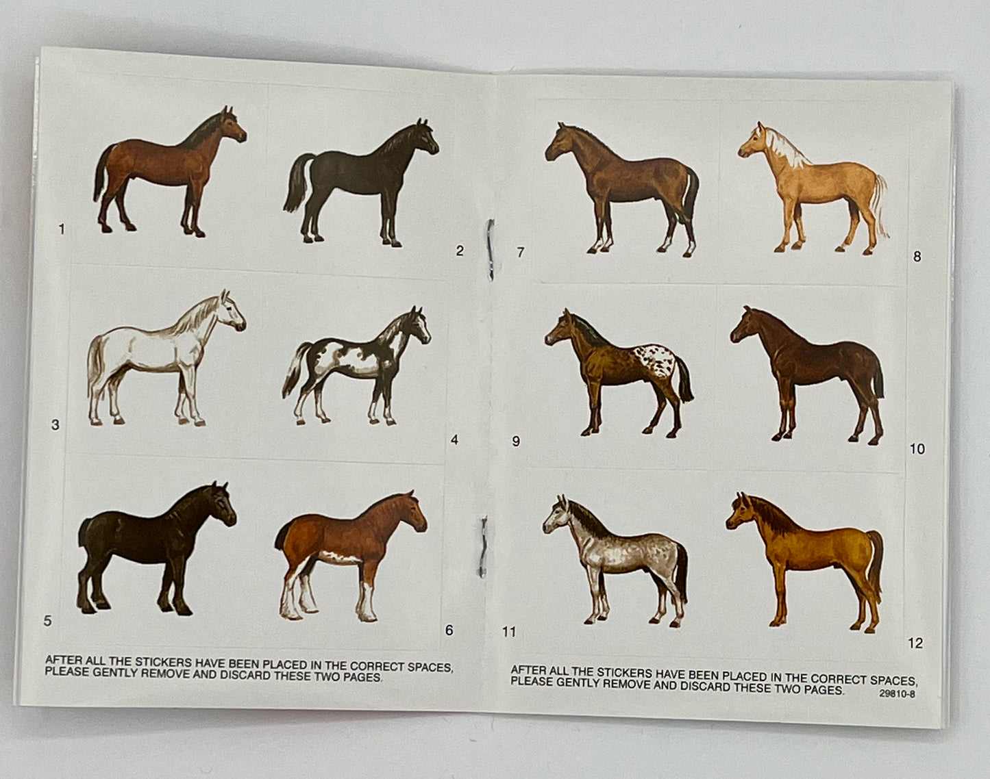 Horses Activity Book