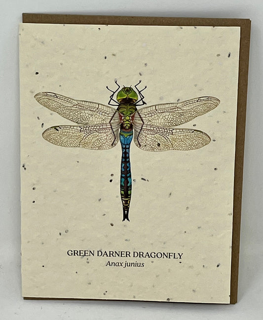 Green Darner Dragonfly Plantable Wildflower Seed Card