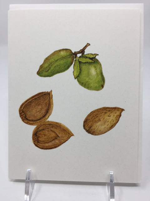 Almonds, Ginny Bartlett