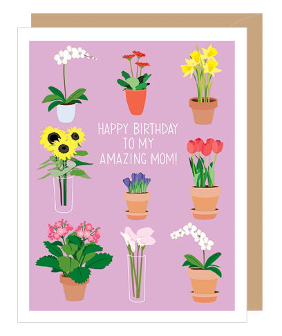 Potted Flowers Mom Birthday